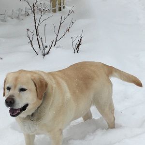 Meet your Posher, Patricia